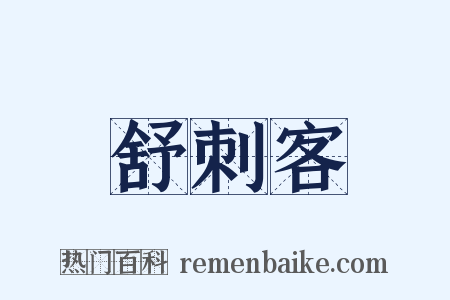 舒刺客是什么意思的图片